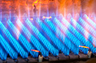 Bordon gas fired boilers